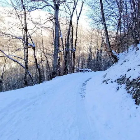 Bergeries De Costes Insolites En Forêt à 4x4 Et Chaînes Recommandés Par Temps De Neige, à 2km Des Remontées Mécaniques * Loudenvielle
