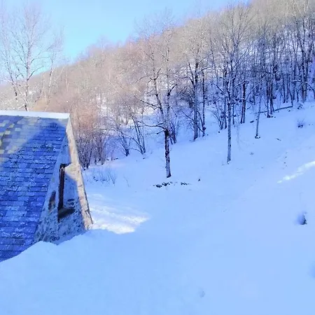 Holiday home De Costes: Rustic Forest Retreat Near Slopes