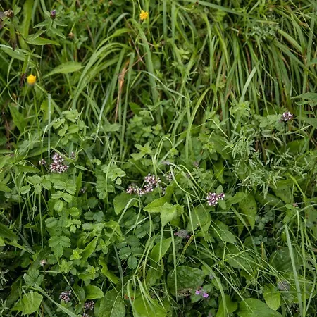 Dom wakacyjny Deux Bergeries Individuelles Renovees 4x4 Et Chaines Recommandes Par Temps De Neige, A 2km Des Remontees Mecaniques Loudenvielle