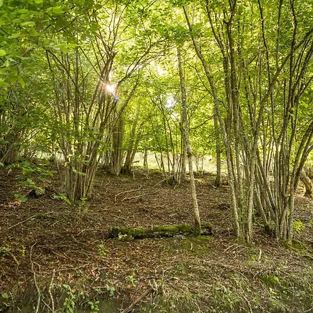 Dom wakacyjny Deux Bergeries Individuelles Renovees 4x4 Et Chaines Recommandes Par Temps De Neige, A 2km Des Remontees Mecaniques Loudenvielle