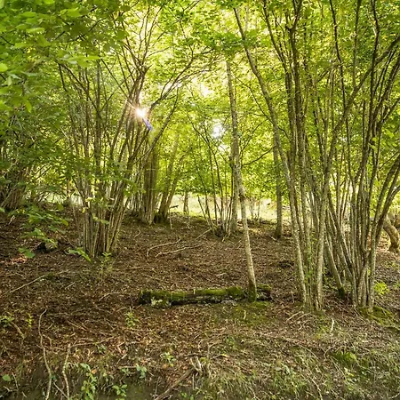 Hébergement de vacances Granges Lascostes Isolées Et Insolites En Montagne à Dans Les Hautes-pyrenees Du Dimanche Au Dimanche En Principe Néanmoins Pour Des Séjours Entre 4 Et 7 Nuits Contactez-nous Par La Messagerie Loudenvielle
