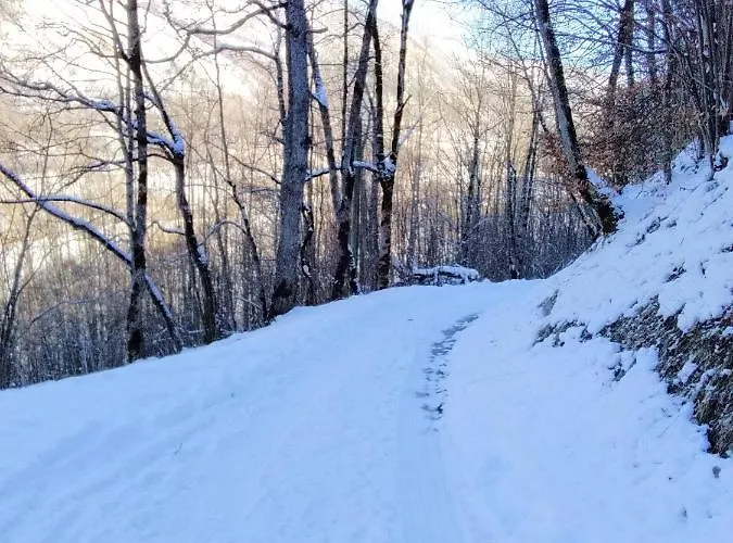 Bergeries De Costes Insolites En Forêt à 4x4 Et Chaînes Recommandés Par Temps De Neige, à 2km Des Remontées Mécaniques * Loudenvielle