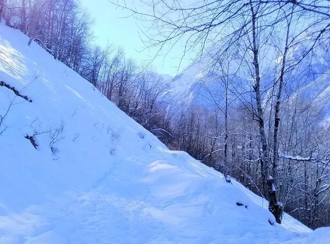 Bergeries De Costes Insolites En Forêt à 4x4 Et Chaînes Recommandés Par Temps De Neige, à 2km Des Remontées Mécaniques Hébergement de vacances Loudenvielle